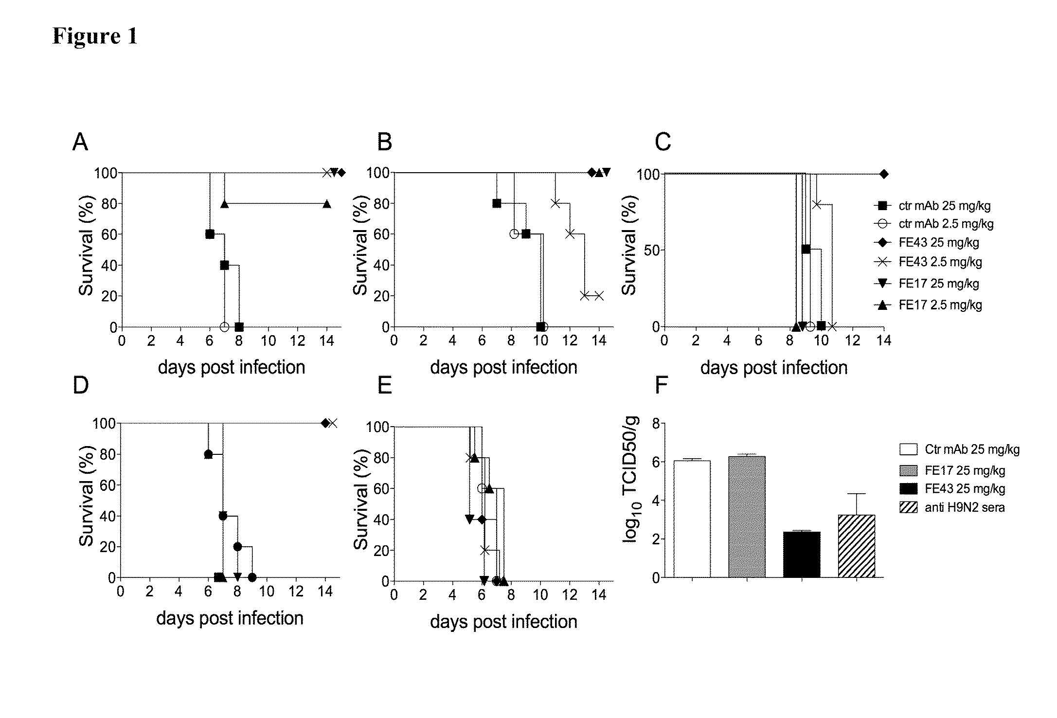 Neutralizing Anti-influenza a virus antibodies and uses thereof