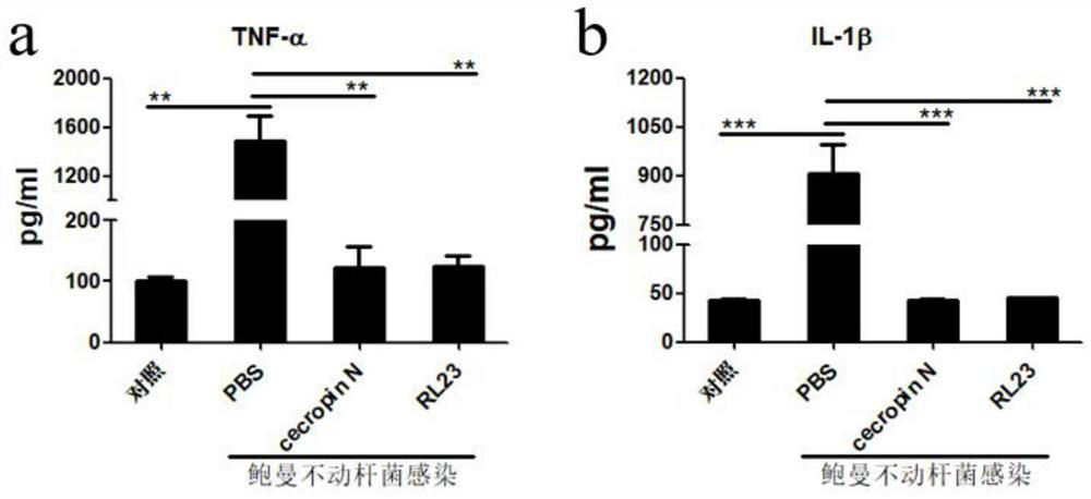 Application of a cecropin-derived peptide