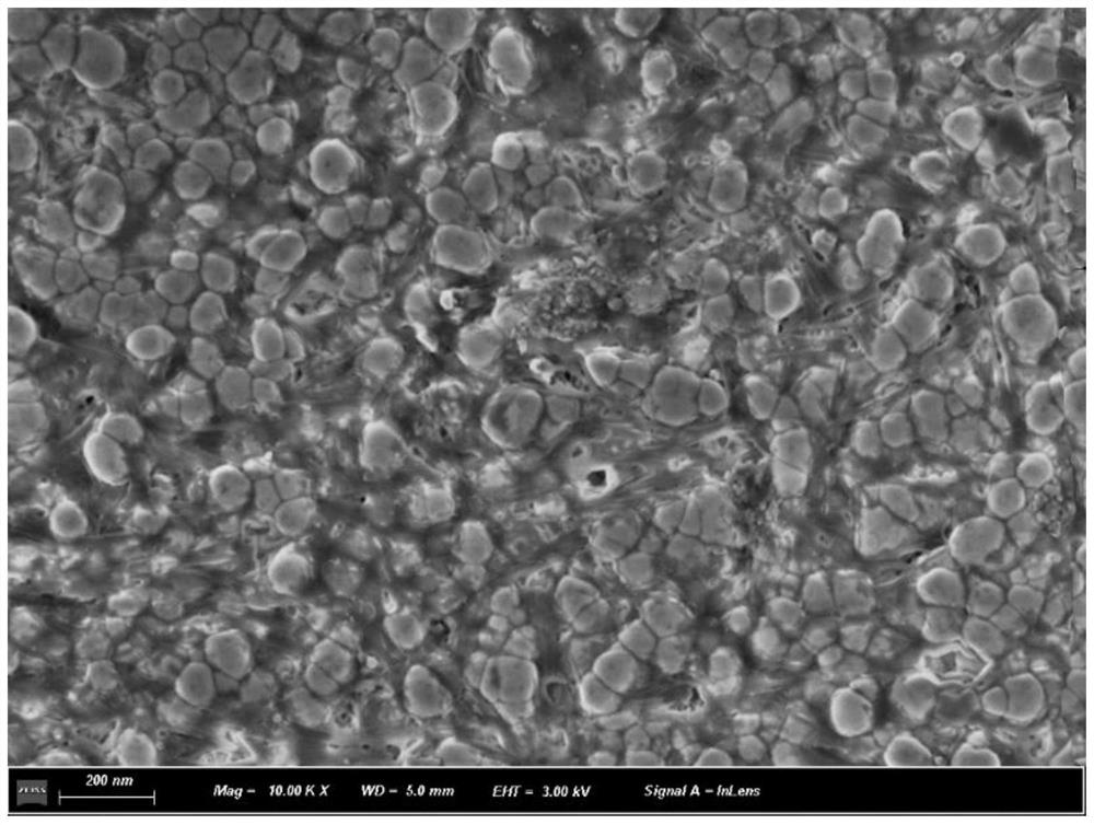 Preparation method of high-density zirconia ceramic material