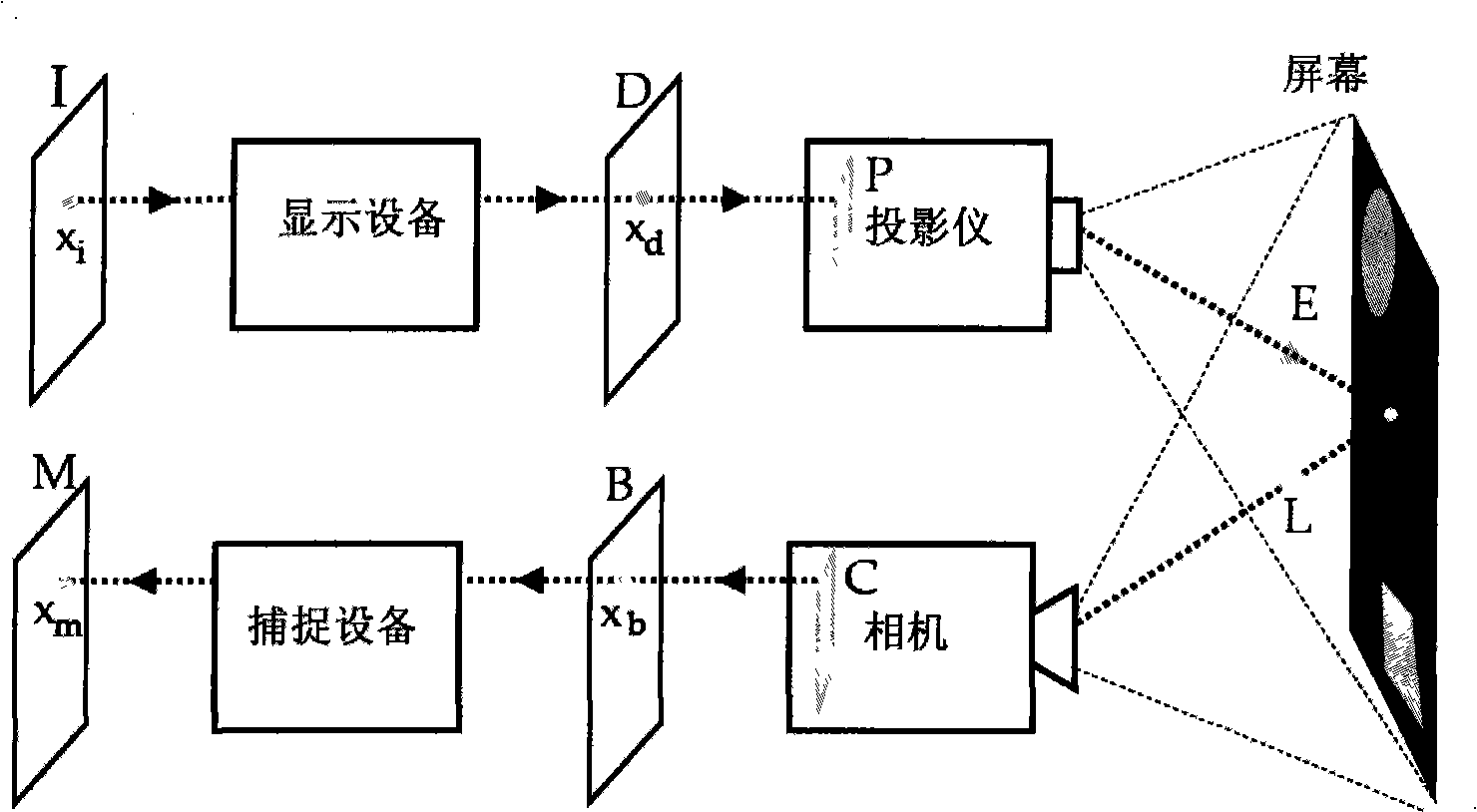 Method for performing projection display on veins plane