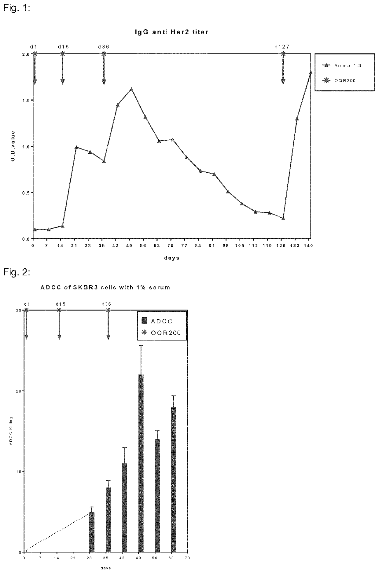 Her2/neu immunogenic composition