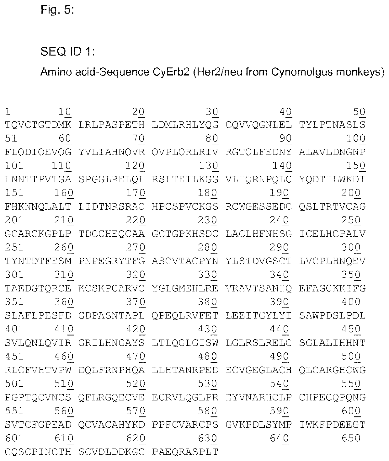 Her2/neu immunogenic composition