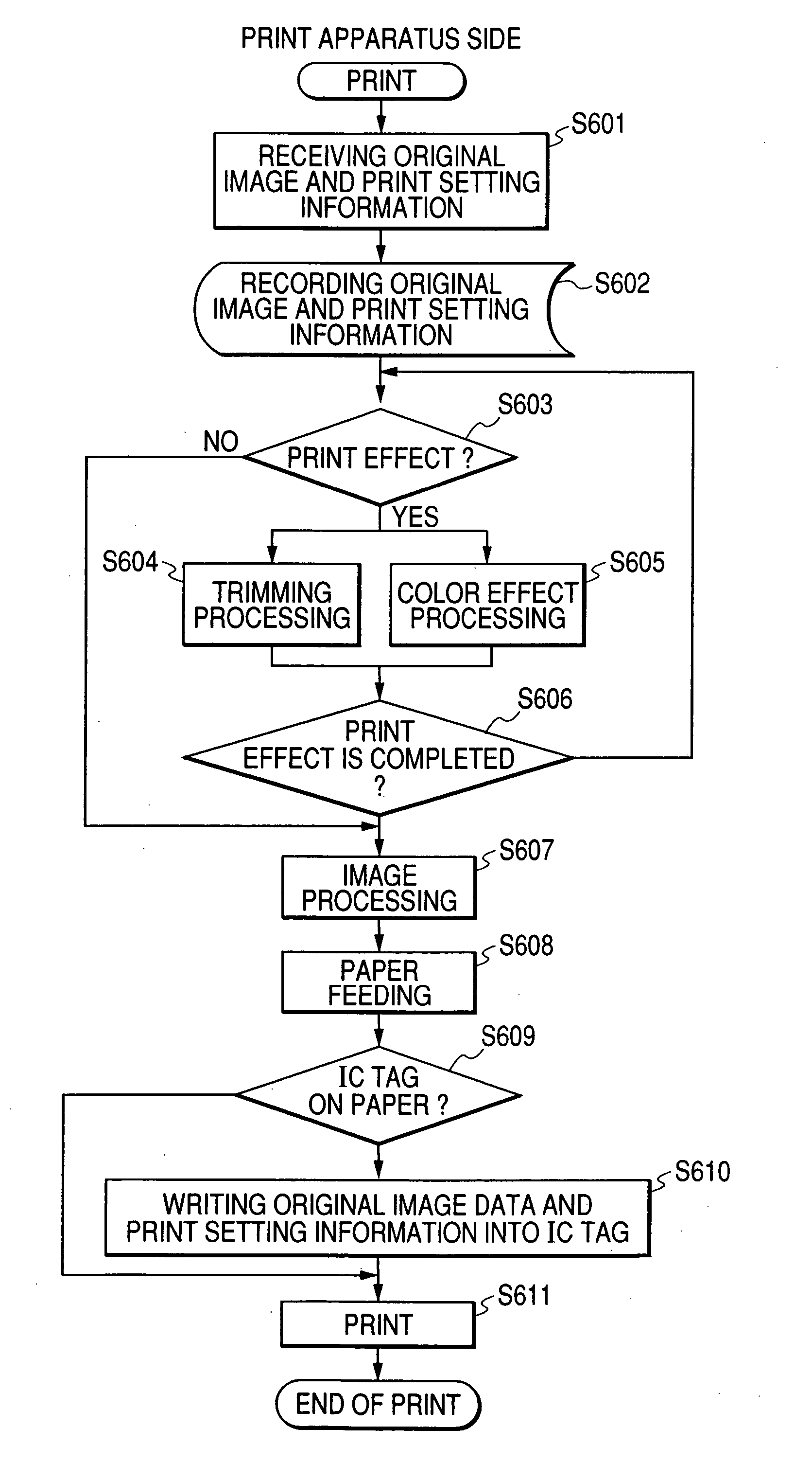 Recording medium and print apparatus