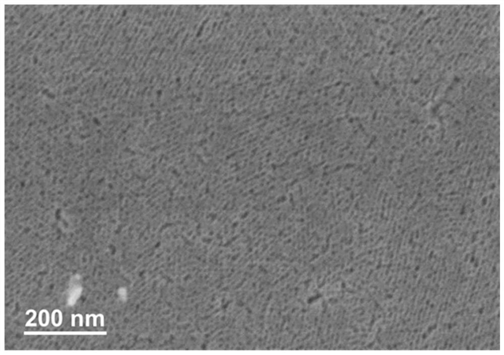 Ordered mesoporous high-entropy metal oxide and preparation method thereof