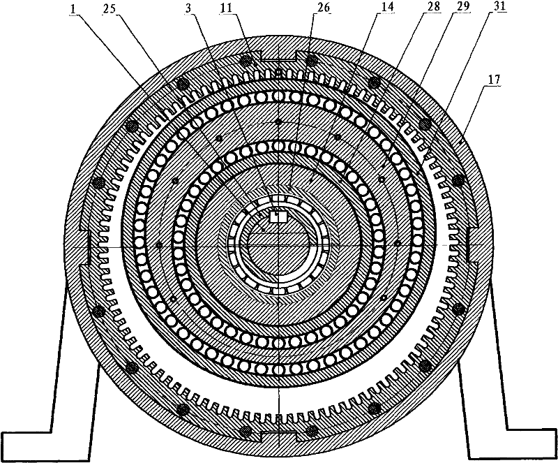 Roller transmission device