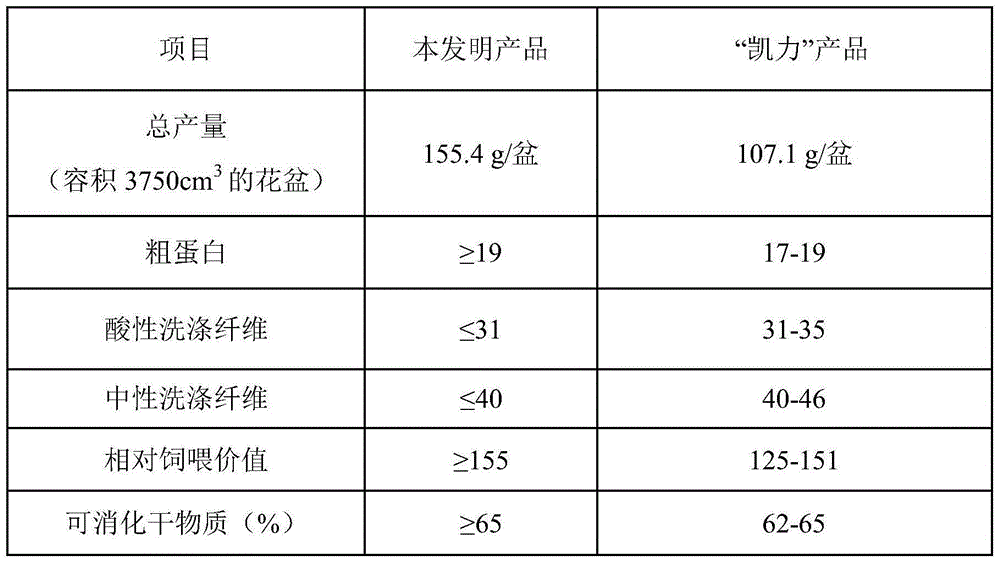 Perennial ryegrass breeding method based on CRISPR/Cas system