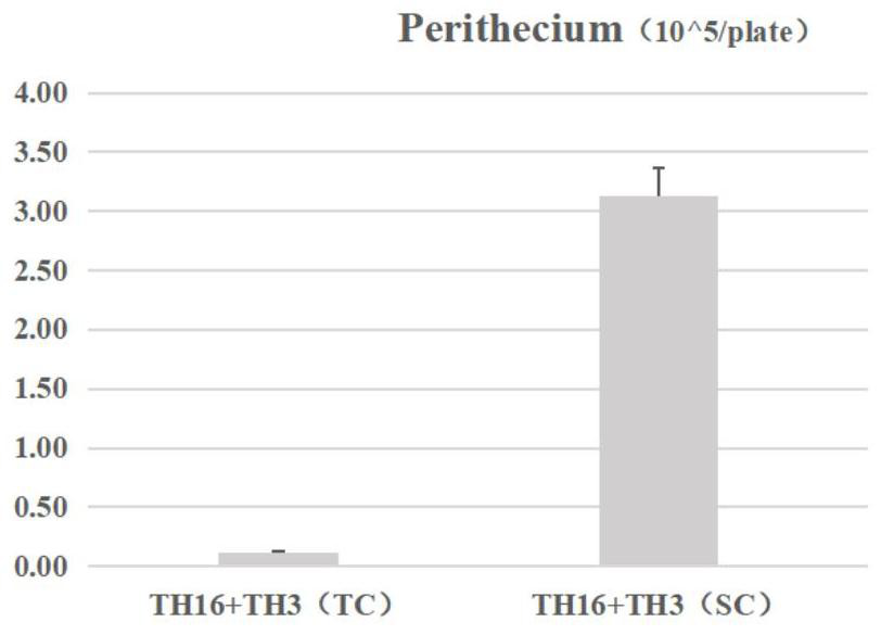 Conidia coating method for producing large number of rice blast germ sexual generations