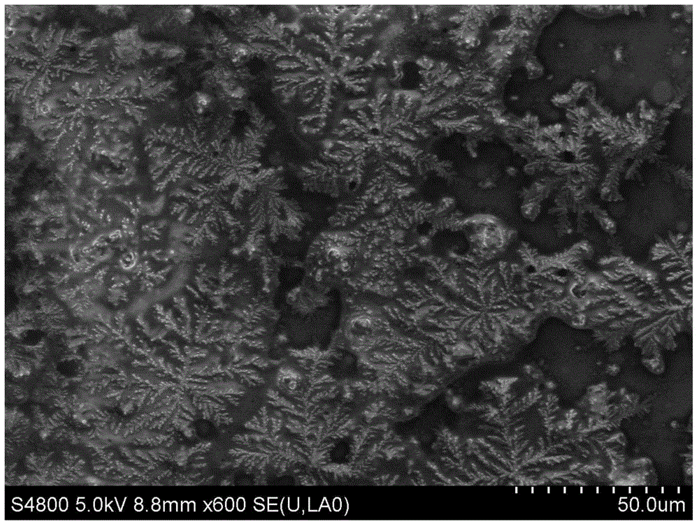 Biological enzyme-chemical compound catalyst and preparation method and application thereof