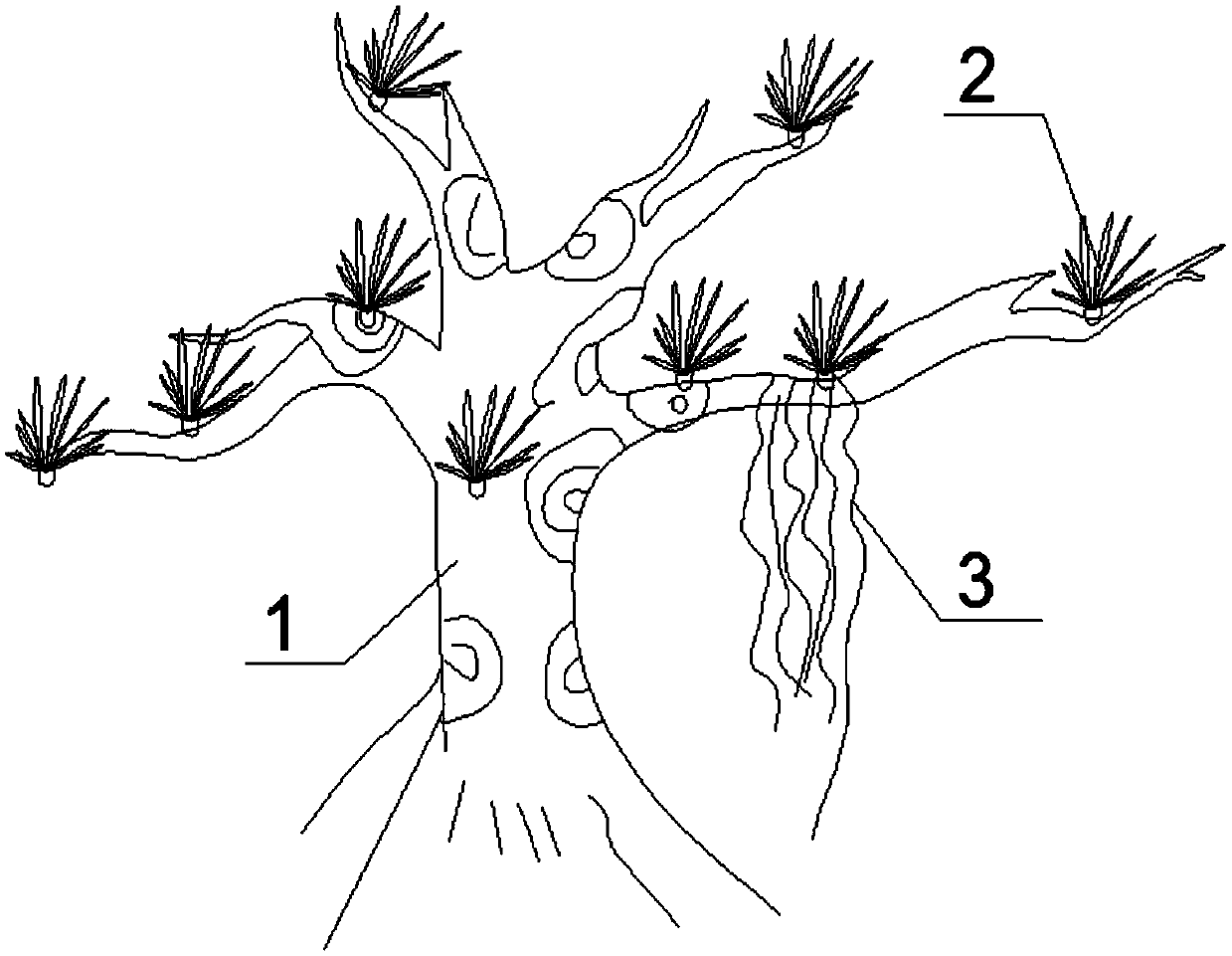 Construction method of tropical rainforest hanging garden