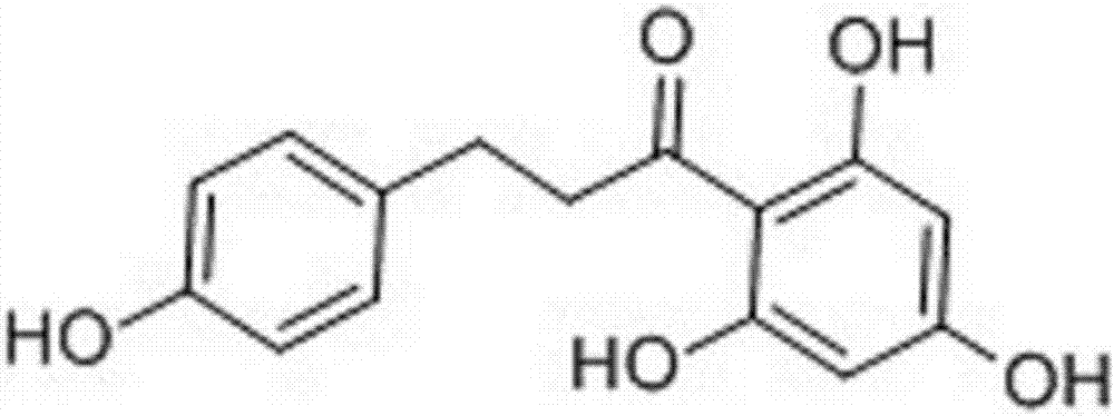 Application of phloretin in preparation of medicine for treating chicken necrotic enteritis