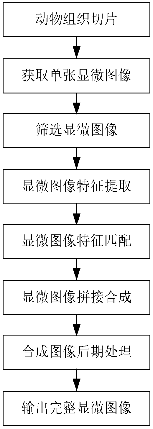 Plane splicing synthesis method of tissue slice microscopic images