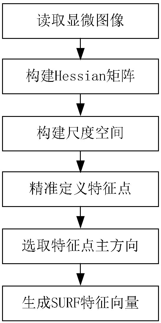 Plane splicing synthesis method of tissue slice microscopic images