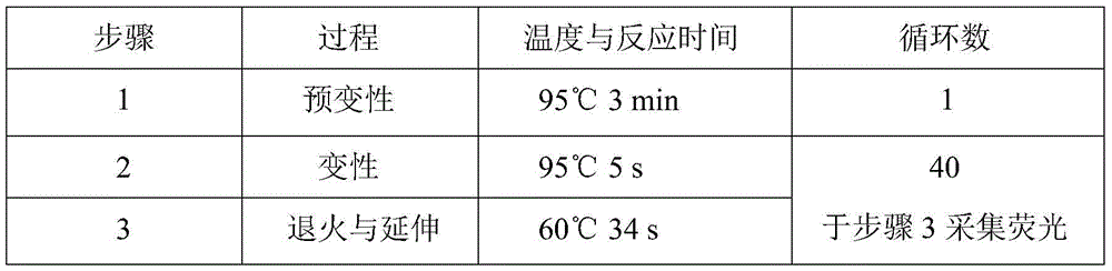 H63D detection classification reagent kit based on AllGlo probe and classification method thereof