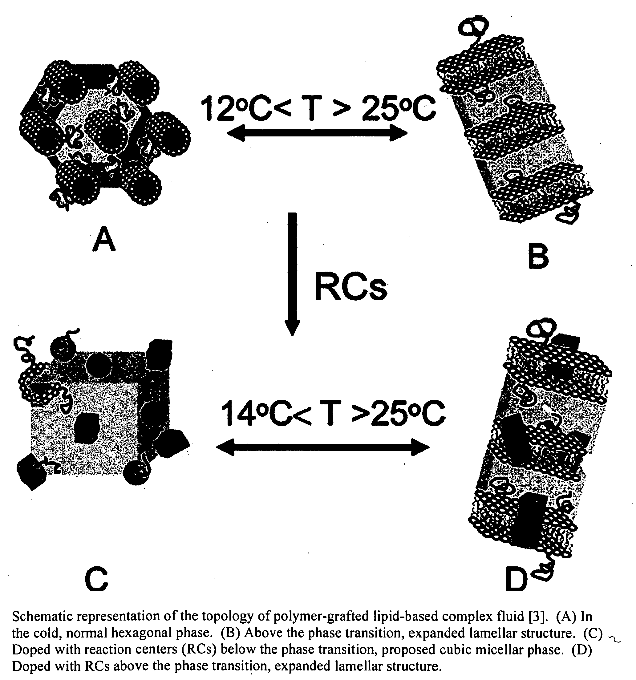 Biomimetic materials for protein storage and transport