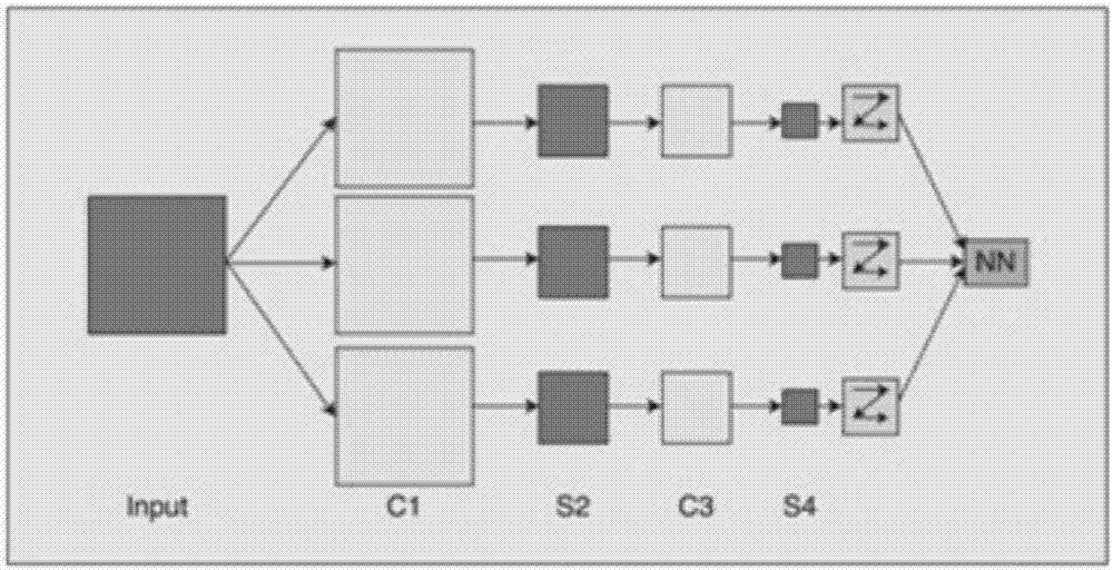 Automatic stem cell counting method based on depth learning