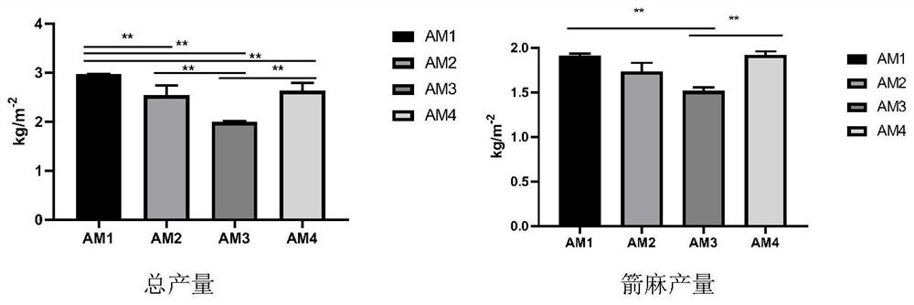 High-yield and high-efficiency cultivation method of French Armillaria