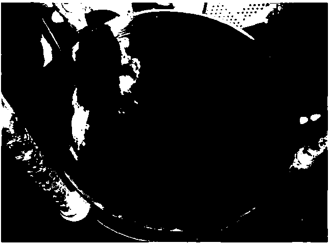 Preparation method of phosphogypsum-based sludge drying agent and application of preparation method in drying sludge