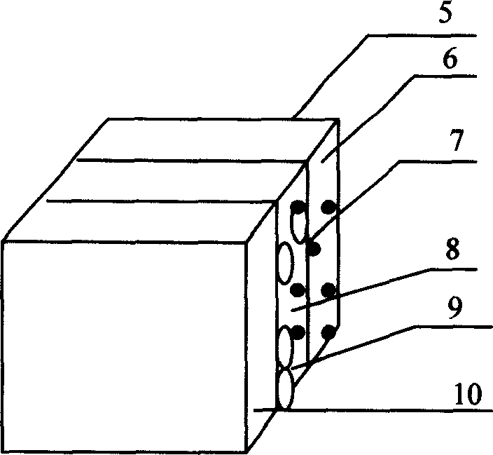 Biological enzyme electrode for biosensor, and its prepn. method