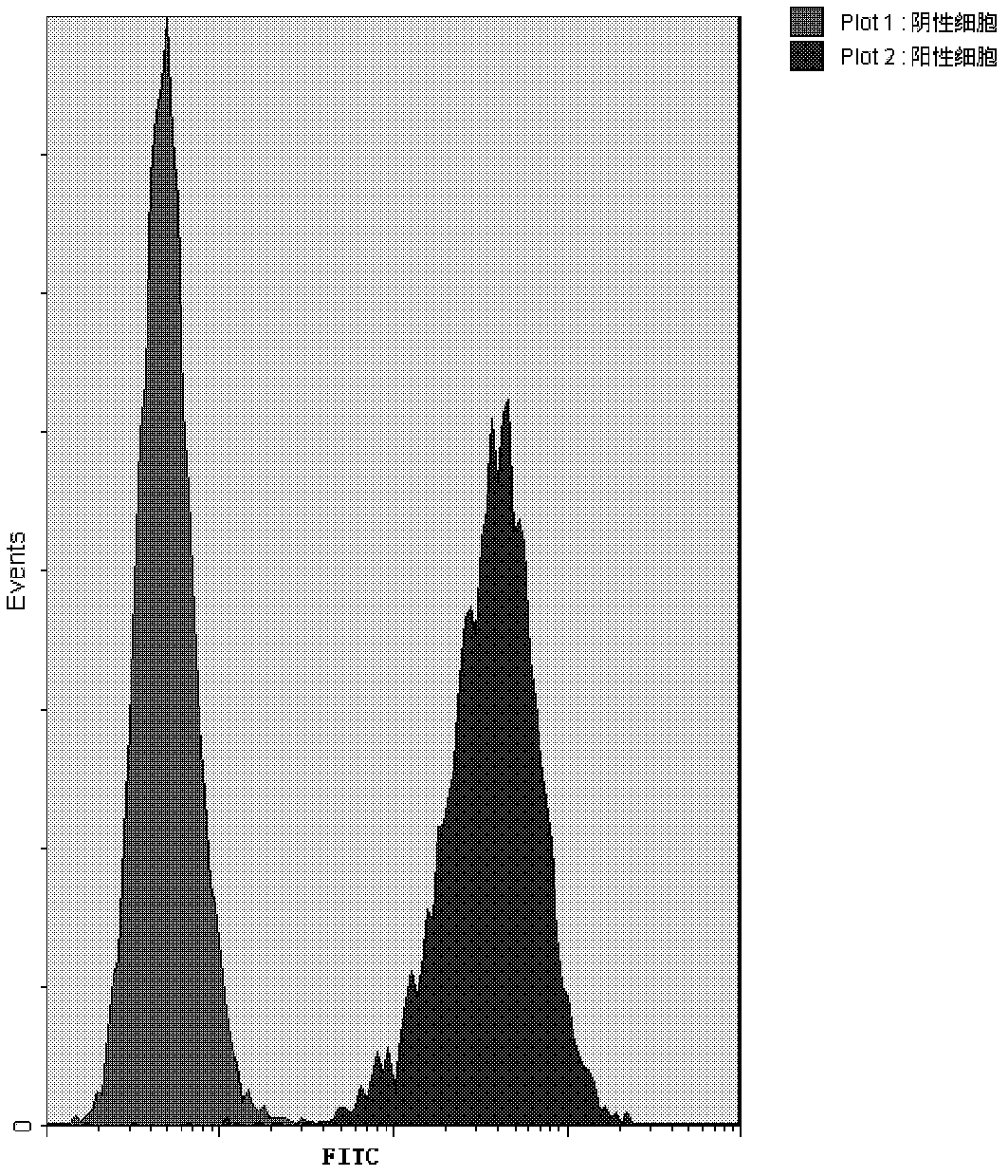 Detection method for anti-CD20 monoclonal antibody binding activities