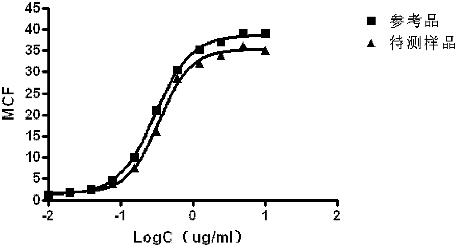 Detection method for anti-CD20 monoclonal antibody binding activities