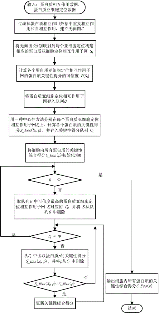 Key protein identification method based on subcellular localization specificity