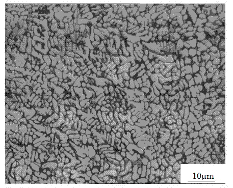 Preparation method of Ca (Calcium) and Ho (Holmium)-doped Mg (Magnesium) alloy