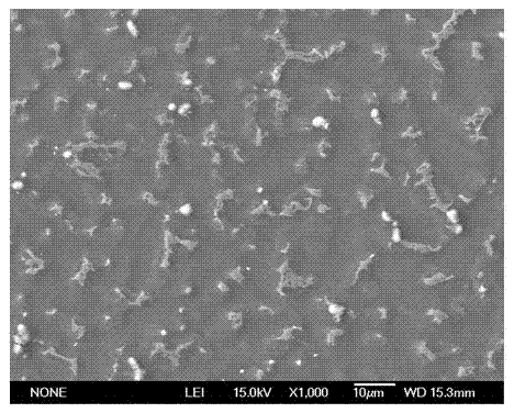 Preparation method of Ca (Calcium) and Ho (Holmium)-doped Mg (Magnesium) alloy