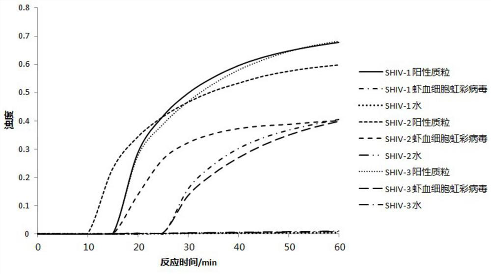 Primer group for detecting prawn iridovirus and kit containing primer group