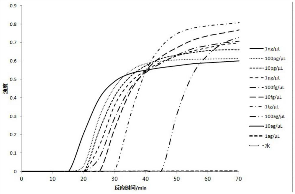 Primer group for detecting prawn iridovirus and kit containing primer group