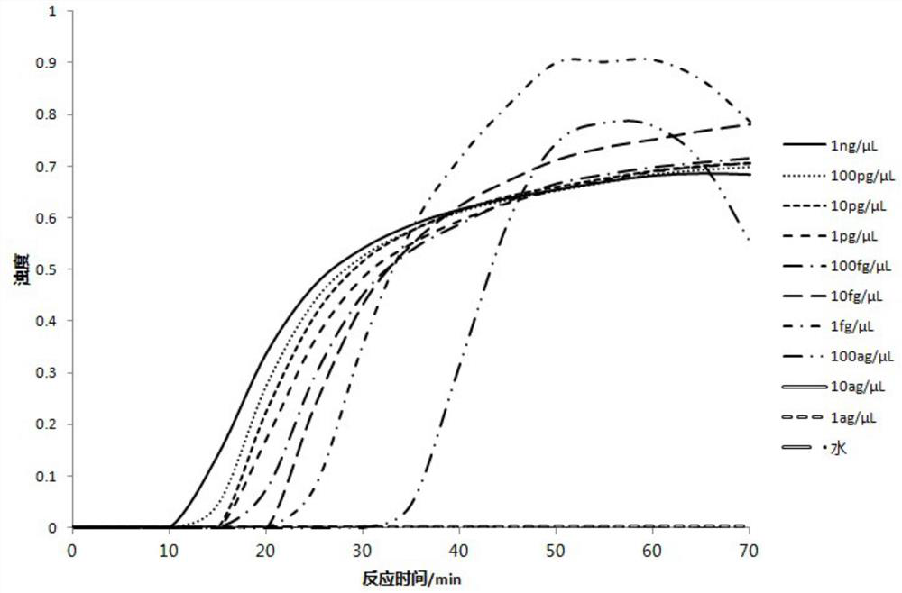 Primer group for detecting prawn iridovirus and kit containing primer group