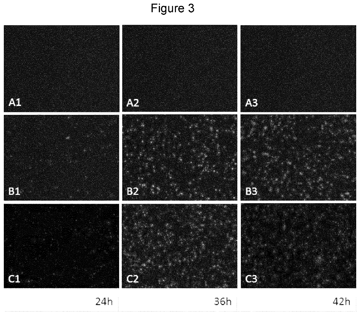 Novel Mechanism to Control RNA Virus Replication and Gene Expression