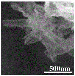 Carbon-doped graphite-phase carbon nitride nanotube and preparation method thereof