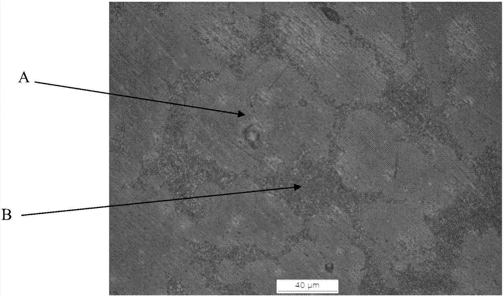 Hydrogen-rich water generator, method for generating hydrogen-rich water, and corresponding calcium-magnesium alloy