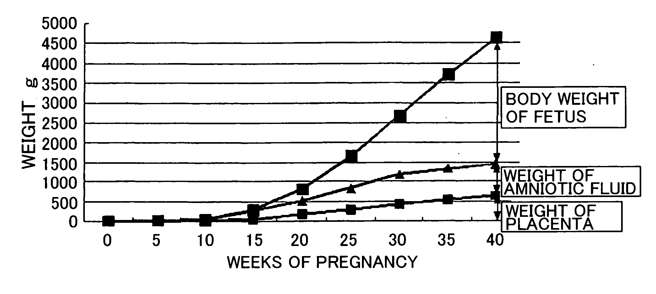 Basal metabolic rate measuring device