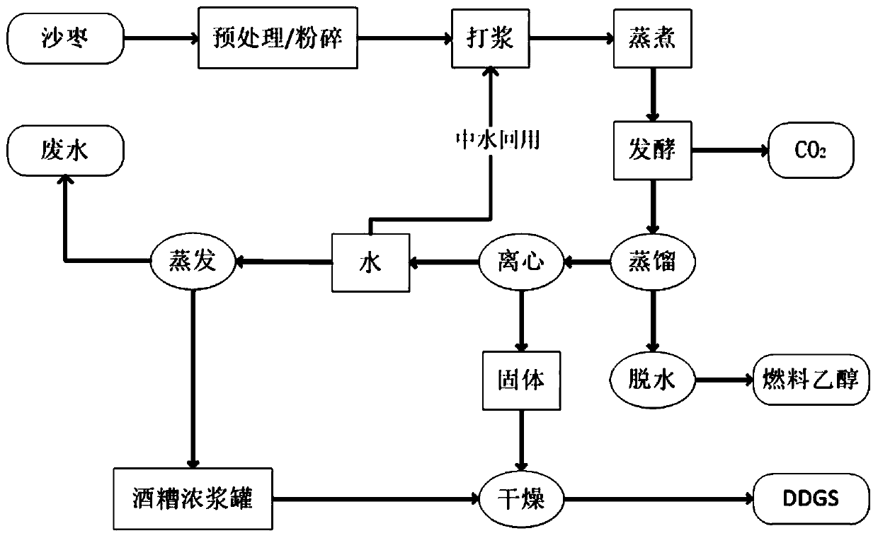 Method for producing fuel ethanol and elaeagnus angustifolia polysaccharide by using elaeagnus angustifolia fruits as raw materials