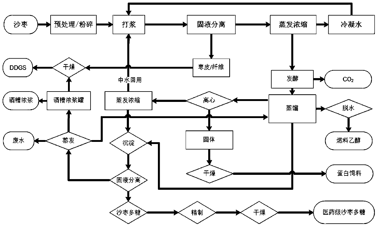 Method for producing fuel ethanol and elaeagnus angustifolia polysaccharide by using elaeagnus angustifolia fruits as raw materials