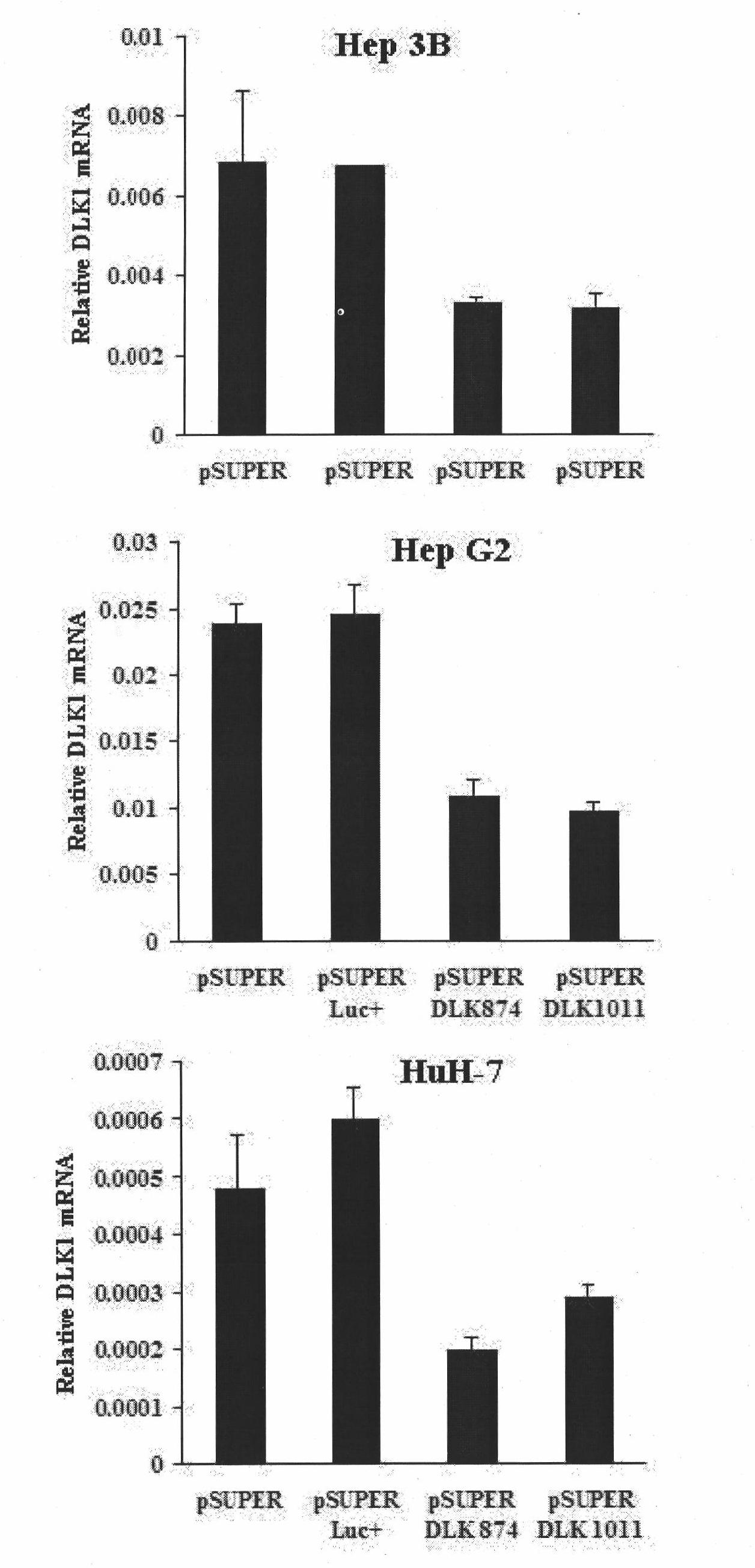 Ribonucleic acid taking liver cancer related gene DLK1 as target spot and application thereof