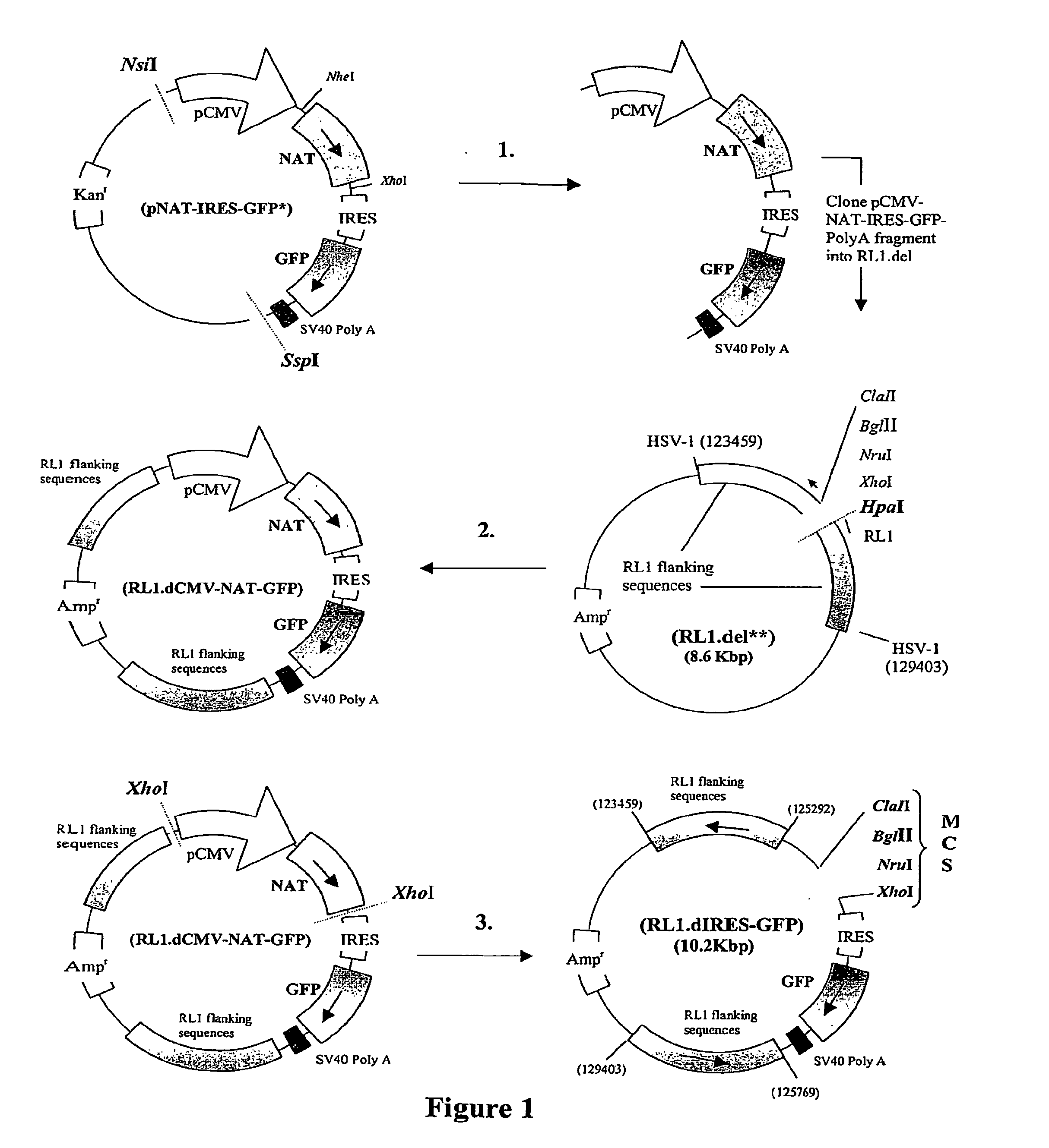 Mutant Viruses