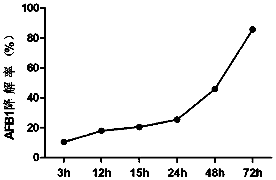 Bacillus subtilis for degrading aflatoxin b1 and its application