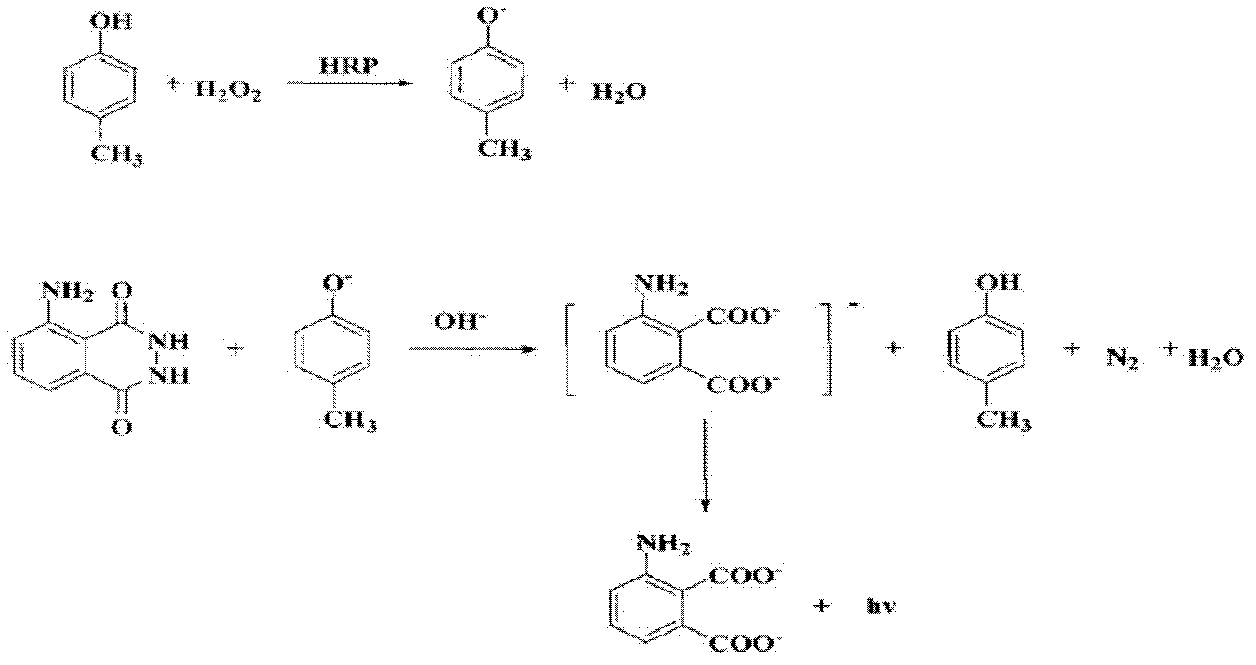 Quinolone drug chemiluminescence enzyme-linked immunodetection kit