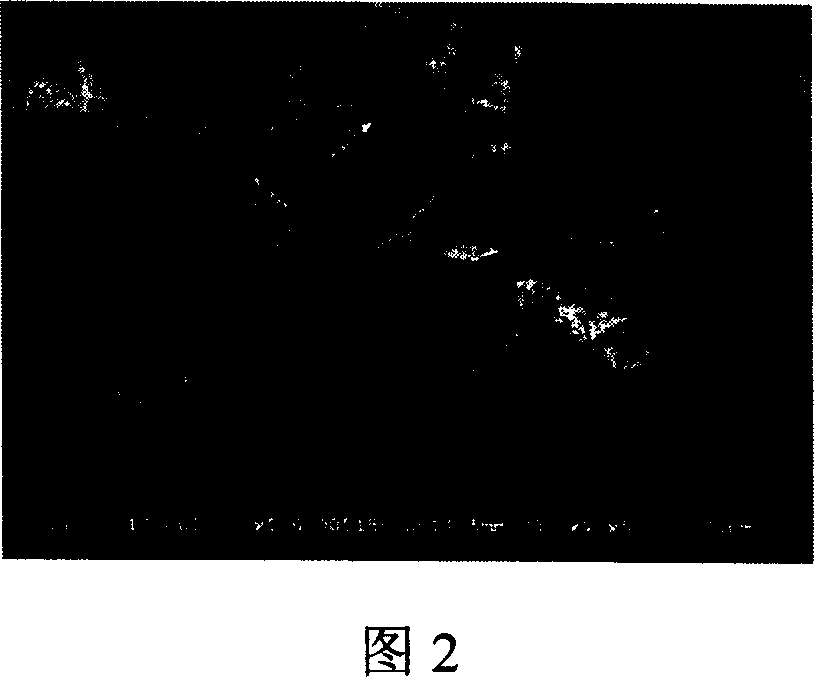 Pnenolic aldehyde type adsorption resin and preparation method thereof