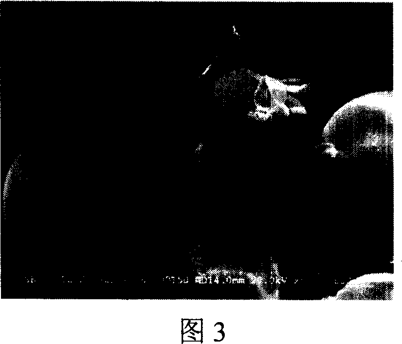 Pnenolic aldehyde type adsorption resin and preparation method thereof