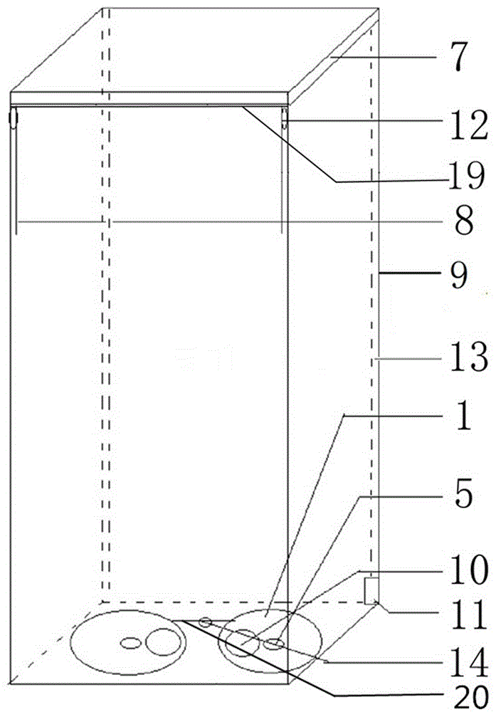 Functional leaf disk, comprehensive vision training apparatus and training method