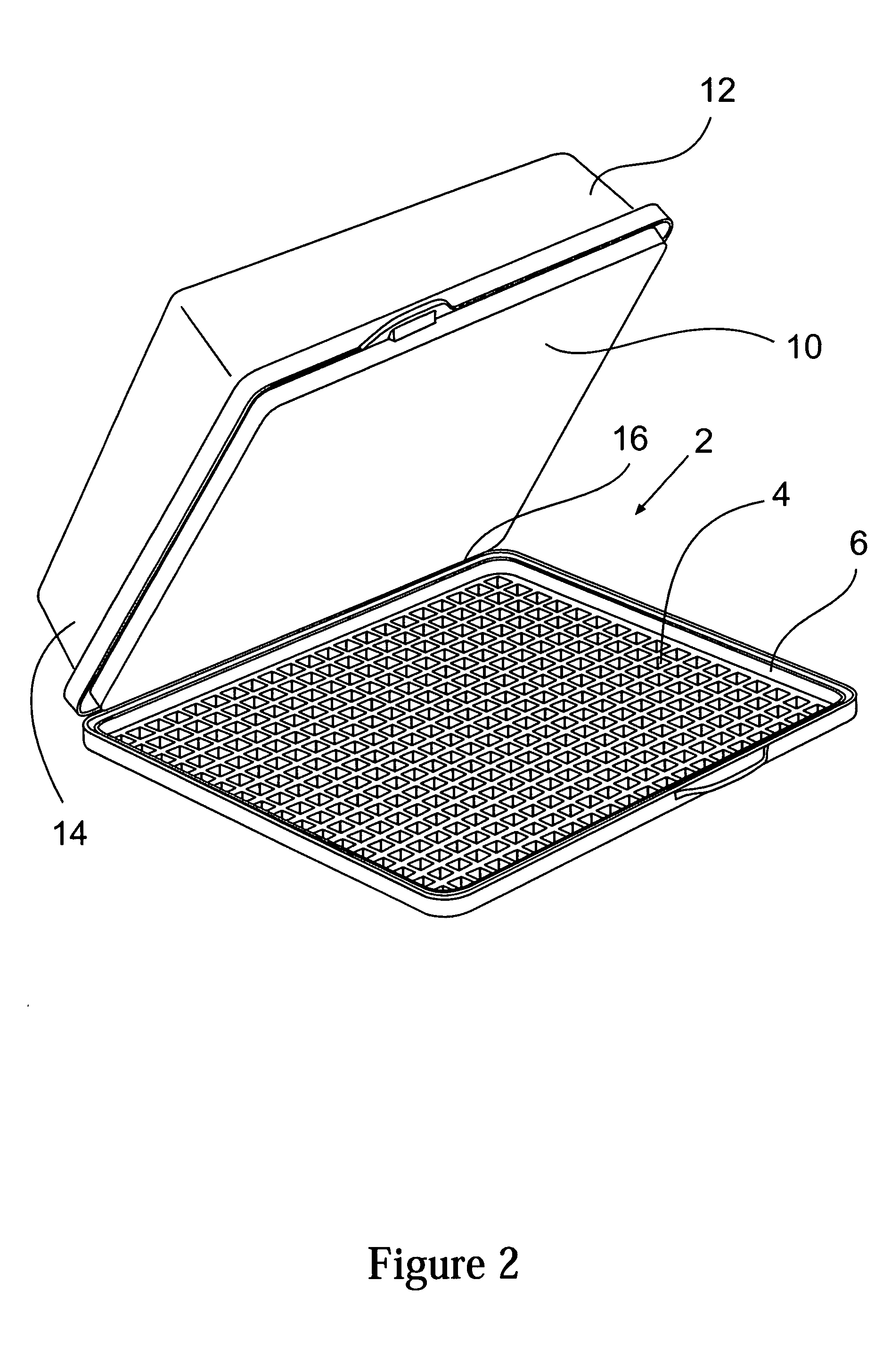 Immunoassay product and process