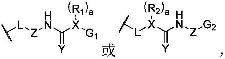 Dynamic polymer elastomer with hybrid crosslinked network and application of dynamic polymer elastomer