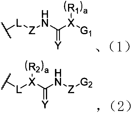 Dynamic polymer elastomer with hybrid crosslinked network and application of dynamic polymer elastomer