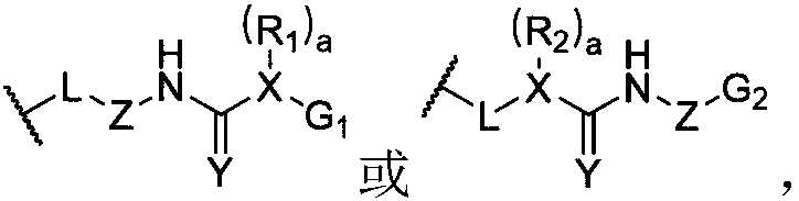 Dynamic polymer elastomer with hybrid crosslinked network and application of dynamic polymer elastomer