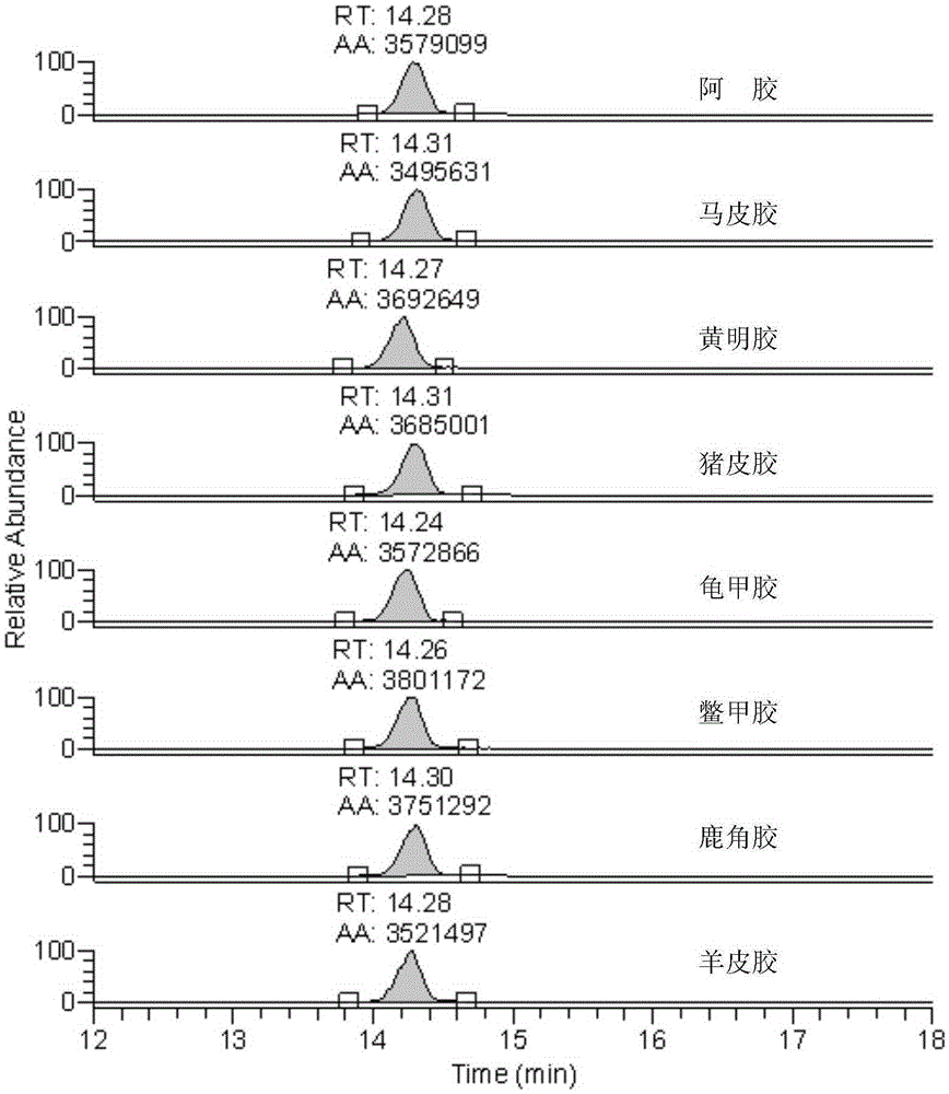 Common polypeptide in animal glue and application thereof in detection