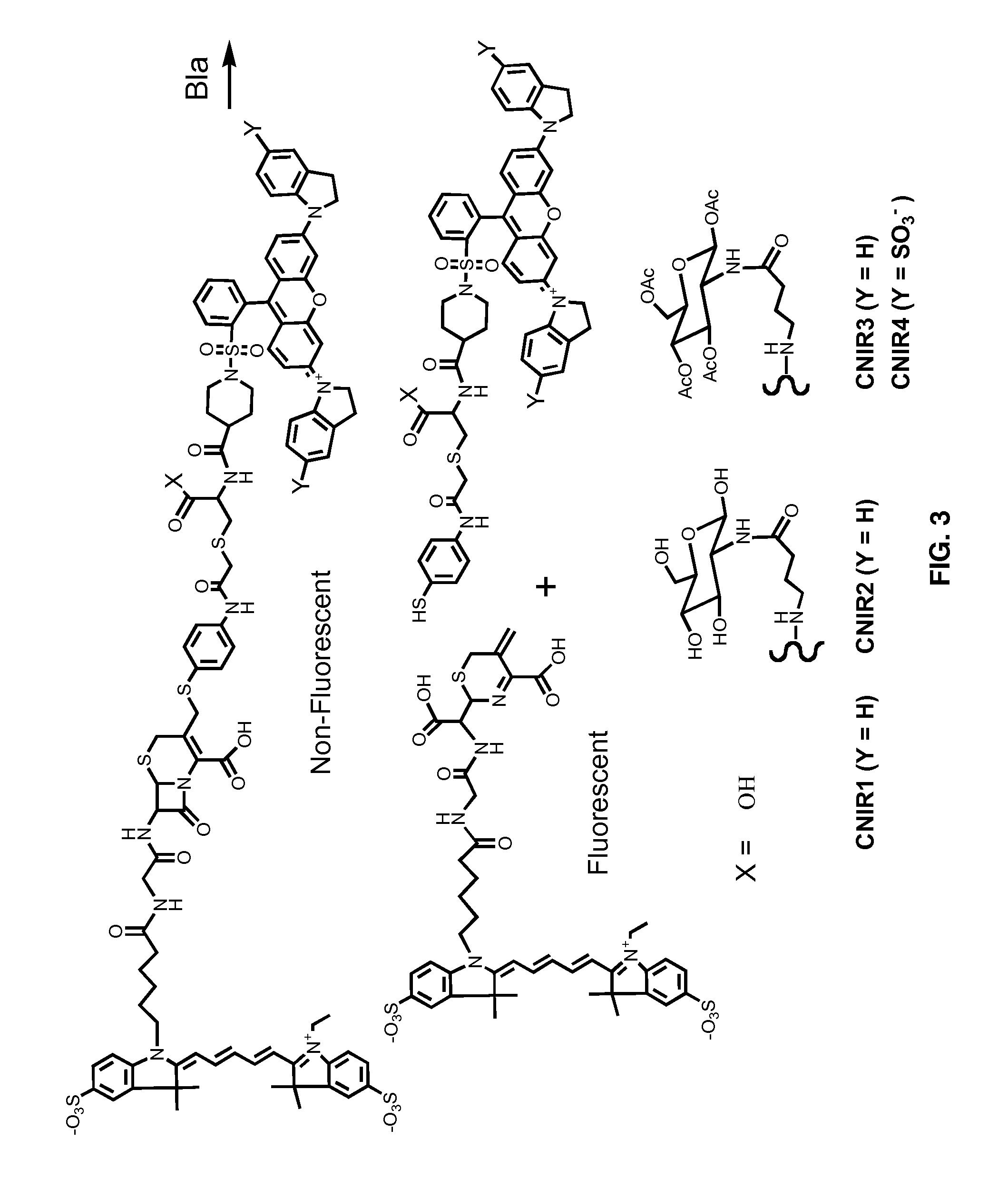 Use of bacterial beta-lactamase for in vitro diagnostics and in vivo imaging, diagnostics and therapeutics