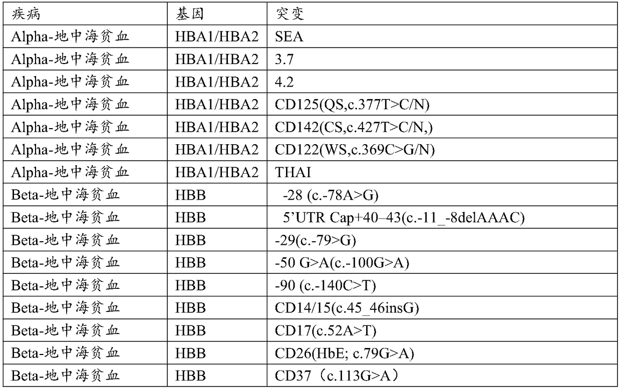 Probe for detecting common genetic diseases, gene chip, preparation method and application